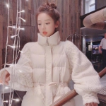 泰拉tmodloader手机版下载